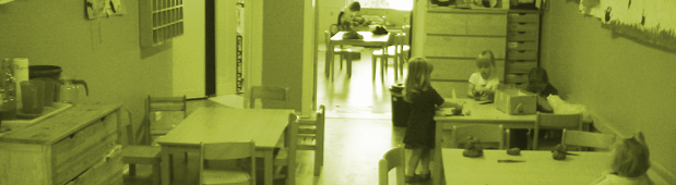 Krabbelkäfer Symbolbild